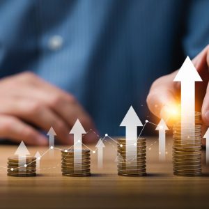 China Fidelity Jpmorgan Am Cross-border Funds